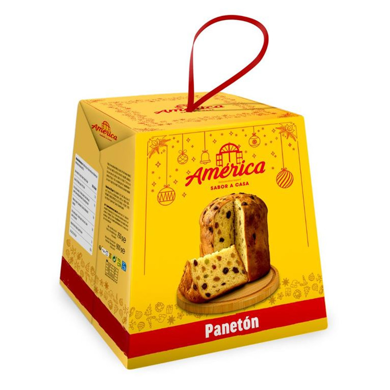 Paneton America 900g